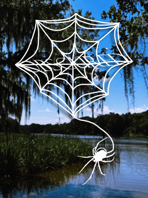 OC WEB