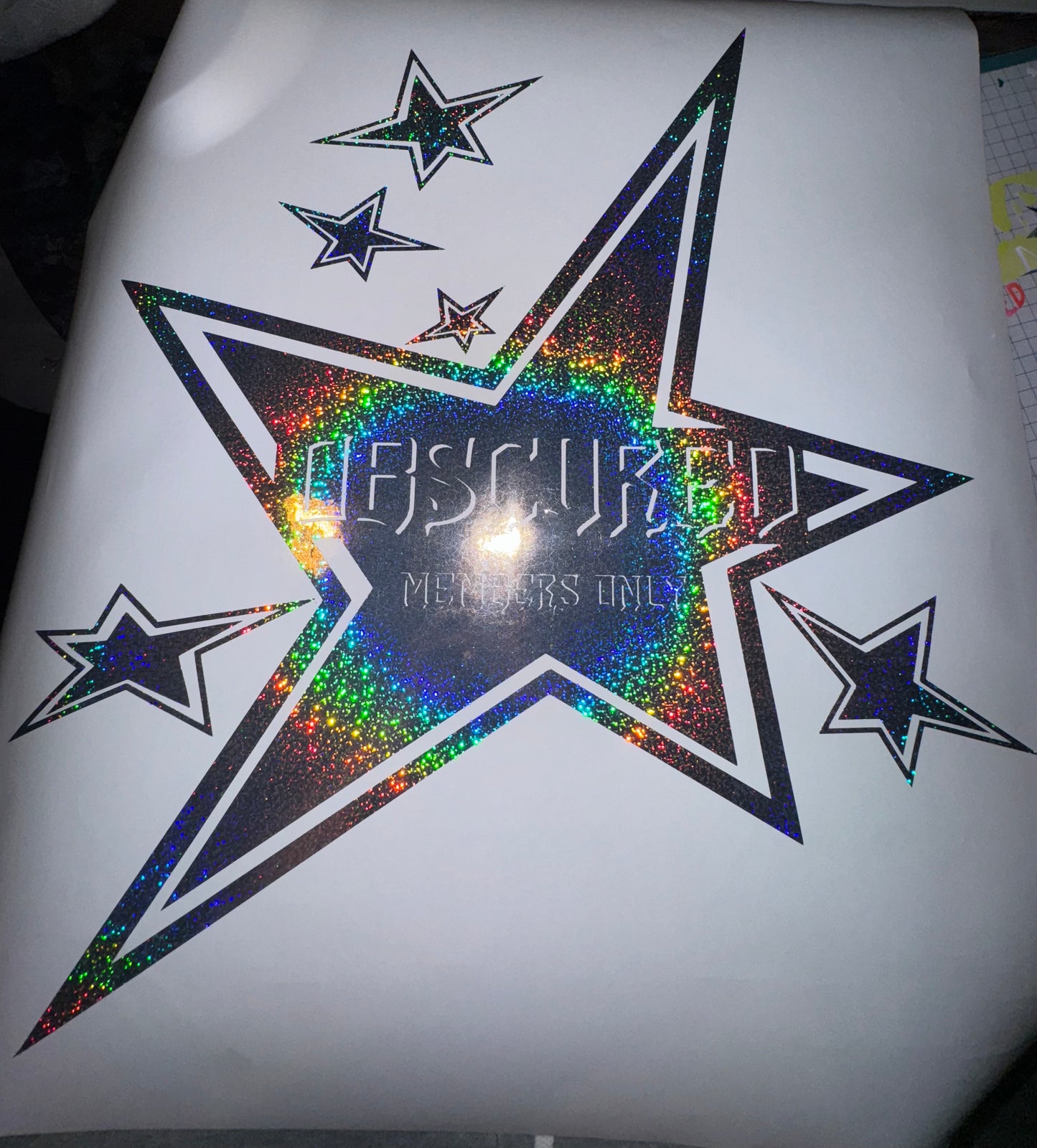 With The Stars MEMBERS ONLY Rear Banner